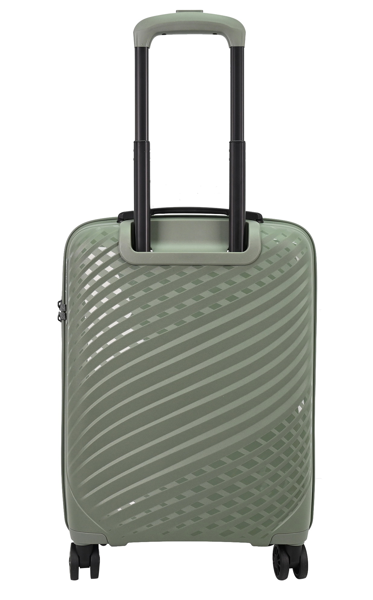 MS-2729 Olive - 3