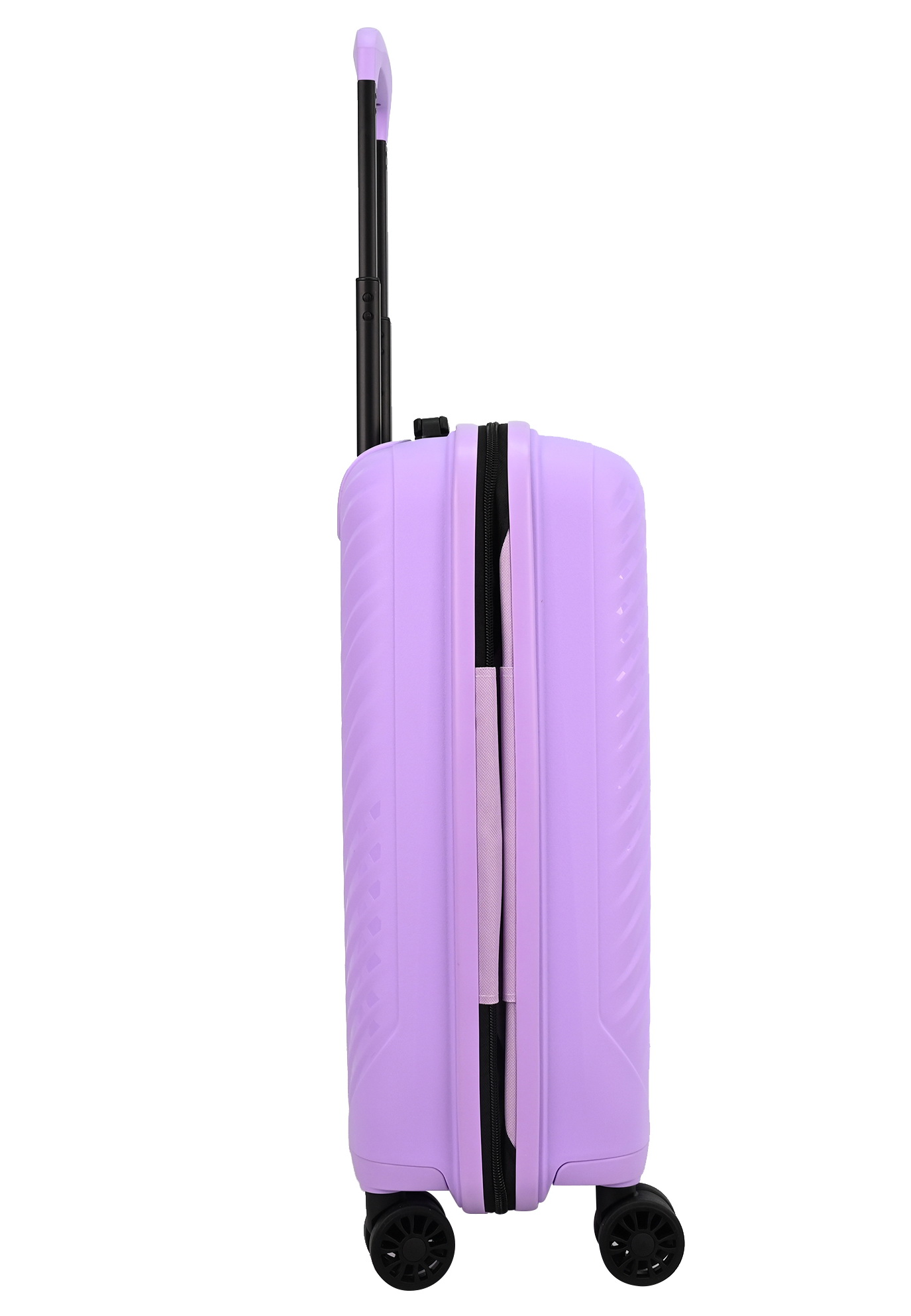 MS-2729 purple - 7